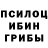 Псилоцибиновые грибы GOLDEN TEACHER /Amkich /