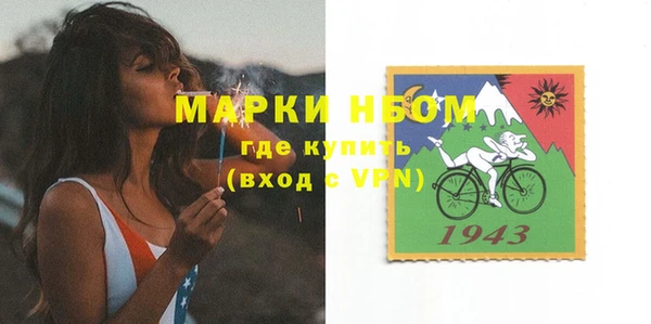 прущие грибы Аркадак