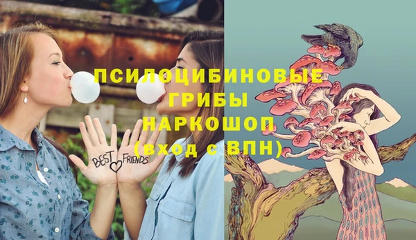 амф Армянск