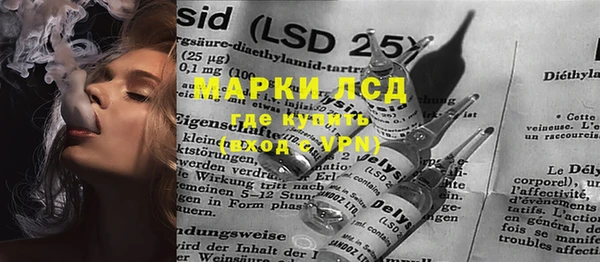 прущие грибы Аркадак