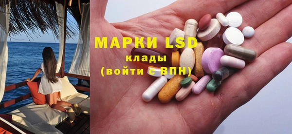 прущие грибы Аркадак