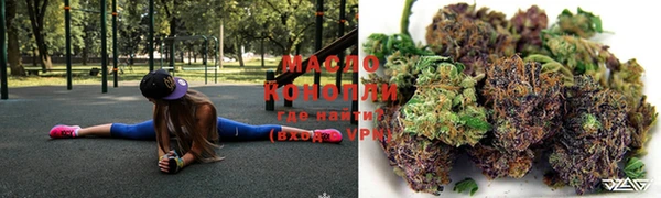 прущие грибы Аркадак
