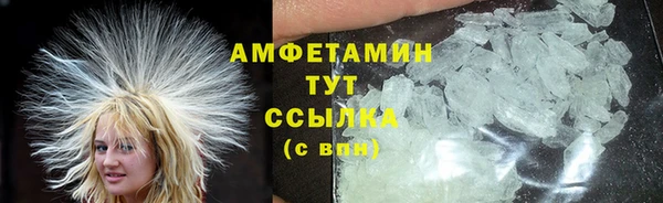 прущие грибы Аркадак